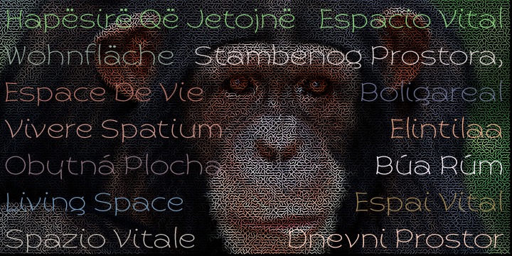 Ejemplo de fuente Primate #29